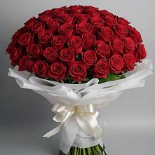 101 Красная роза Блэк Мэджик в Соль-Илецке Букет 101 Красная роза Блэк Мэджик в Соль-Илецке