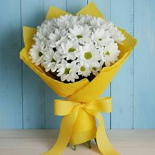 Букет Застенчивые лепестки в Соль-Илецке Букет цветов из:  Хризантемы в Соль-Илецке
