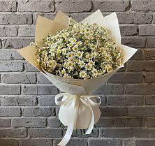 Букет цветов из:  Ромашки в Соль-Илецке