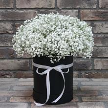 Цветочная композиция из Гипсофила в шляпной коробке #REPLACE_PRED# Соль-Илецке