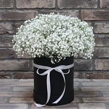 Композиция коробка гипсофил в Соль-Илецке Цветочная композиция из Гипсофила в шляпной коробке в Соль-Илецке