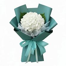 Букет цветов из:  Гортензия в Соль-Илецке